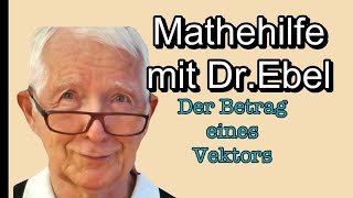 Der Betrag eines Vektors [upl. by Langston681]