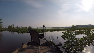 Reelfoot Lake Episode 2 May 2023 [upl. by Buchbinder454]