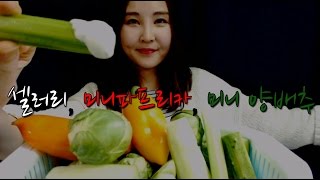 KOREAN한국어ASMR｜셀러리 미니 양배추 미니 파프리카 오이 채소 이팅사운드｜ Celery Mini Cabbage Mini Paprika Eating Sounds [upl. by Ylloj]