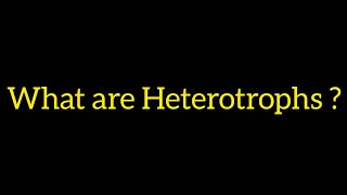 what are Heterotrophs definition [upl. by Seldun960]