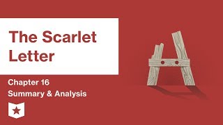 The Scarlet Letter  Chapter 19 Summary and Analysis  Nathaniel Hawthorne [upl. by Etnecniv]