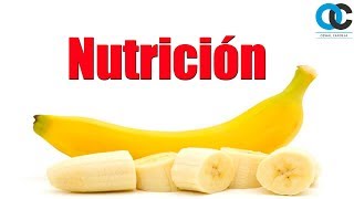 3 cosas que debes saber de nutrición YA [upl. by Atwood]