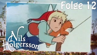 Nils Holgersson 🌱 Folge 12 Daunenfein 🌱 Die KlassikSerie [upl. by Navetse720]