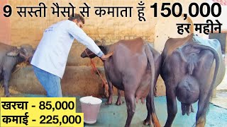 Mini Dairy Farming ka Detailed Business Model [upl. by Aseuqram]