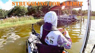 A Warm Summer Day l Kayak Bass Fishing [upl. by Kelcy]