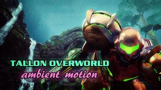 The Beauty of Metroid Prime Remastered  Tallon Overworld Ambient Motion  4K Resolution [upl. by Annaegroeg]