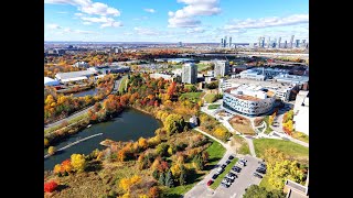 York University YORKU  Keele Campus Aerial View in Fall Season [upl. by Rianon69]