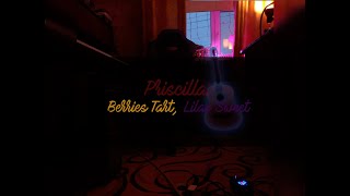 Priscillas song Guitar cover [upl. by Kelula]