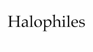 How to Pronounce Halophiles [upl. by Kary764]