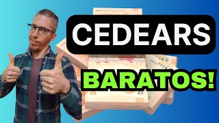 CEDEARS BUENOS y BARATOS 💰 Oportunidades para INVERTIR 2024 [upl. by Ezirtaeb548]