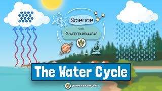 Science with Grammarsaurus  The Water Cycle [upl. by Rann]