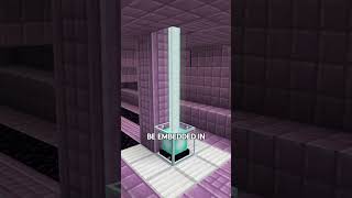 Mystery Glass in End Ship 🙀 you didnt know➡️subscribe♥️ minecraft [upl. by Ynor666]