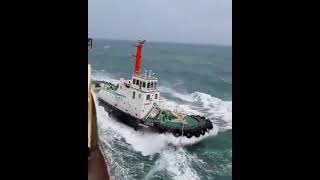 Ranger Tugs R25 boatlife boats rangerTug explore surgeworld [upl. by Esinad]