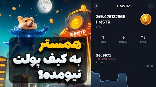 رفع مشکل برداشت همستر🚀 چرا توکن همستر به کیف پولت نمیاد؟ [upl. by Suki]