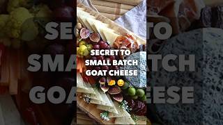 Happy Goats  Better Cheese 🐐🧀 How Goat Cheese is Made on Small Farm cheese farming goats [upl. by Notsek]