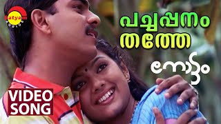 Pachappanamthathe  Video Song  Nottam  Samvrutha Sunil  Ajir Shujahi [upl. by Elaen]