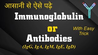 Immunoglobulin in hindi  Structure amp Function  IgG IgA IgM IgE IgD  5types of antibodies lokesh [upl. by Anuaek]