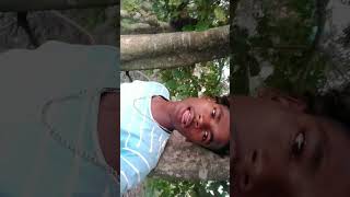 Nasib Re Banum kao New Santali Shorts Video 2024 [upl. by Kaine]