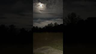 Bigfoot howls at Salt Fork State park Ohio [upl. by Johna]