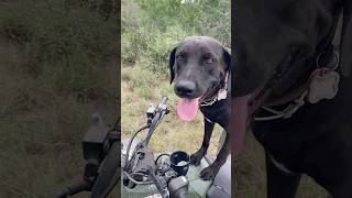 Fixing feeders with my favorite girl…🐾 [upl. by Joan472]