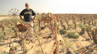 Recycling Water in the Negev Desert Israel [upl. by Anuahsar216]