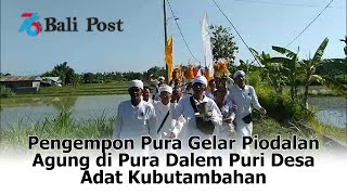 Pengempon Pura Gelar Piodalan Agung di Pura Dalem Puri Desa Adat Kubutambahan [upl. by Iarahs]