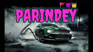 Parindey  SLOWED AND REVERB Mihir music company  Song 🎶 [upl. by Scrope]