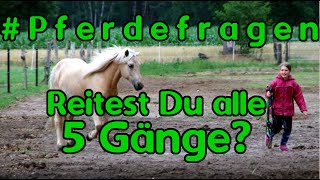 Pferdefragen Reitest Du alle 5 Gangarten [upl. by Dru413]