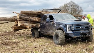 EXTREME LOGGING with the AnyLevel F350 10TON HAUL [upl. by Gertrud]