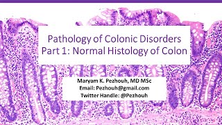 Pathology of Colonic Disorders Part1 Normal Histology of Colon [upl. by Essex]