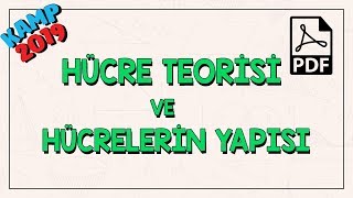 Hücre Teorisi ve Hücrelerin Yapısı [upl. by Lednar]