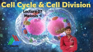 Cell Cycle and Division l Lecture 07 l Thorax100 [upl. by Erdrich496]