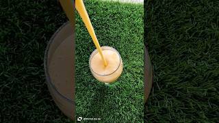 Papaya Juice 🥤 Benefits How To Make Papaya Milk Shake  shorts ytshorts recipes foods drinks [upl. by Cirone]