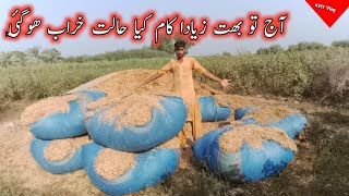 Aj To Bhot Ziyada Kam Kiya Halat Khrab Hogi  Pak Village Life rajabfamily [upl. by Zigmund]