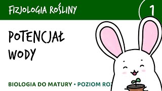 Potencjał wody i te sprawy  Fizjologia roślin 1  matura liceum biologia rozszerzona [upl. by Alrzc256]