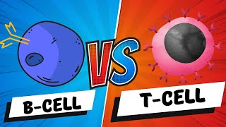 B Cells vs T Cells  B Lymphocytes vs T Lymphocytes  Adaptive Immunity  Mechanism [upl. by Zsazsa]