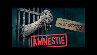 Amnestie  Official Trailer 2019 [upl. by Haibot478]