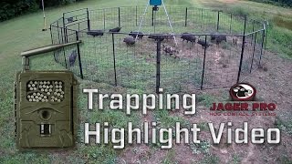 Wild Hog Trapping  Hog Trapping Video Highlight  JAGER PRO™ [upl. by Sugna]