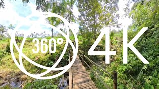 360° VR Tour  4K Bali Jatiluwih Rice Terraces  exploring the Serene Rice Fields [upl. by Merdith950]