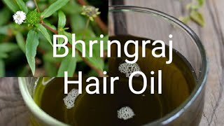 Bhringraj Hair Oil கரிசலாங்கண்ணி எண்ணெய்Karisalankanni Hair Oil For Hair Growth in Tamil [upl. by Tully]