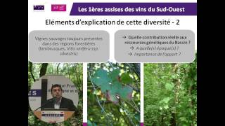 Biodiversité variétale des vignobles du SudOuest par Olivier Yobrégat IFV SudOuest [upl. by Ifen]