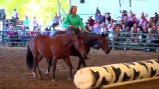 Elli Pospischil Bareback Bridleless amp Liberty Two Horse Spotlight at 2016 Parelli Summit [upl. by Yelsnik]