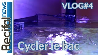 VLOG4 Vince Z  cycler  démarrer un aquarium marin [upl. by Nagud411]