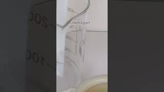 Chromatography of Spinach  Separation of Chlorophyll and Xanthophyll  Class 11 Biology science [upl. by Laurene370]