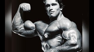 Arnold Schwarzenegger Elite Genetics or Hard Work [upl. by Kermie]