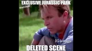 JURASSIC PARK NIGGA [upl. by Rutter802]