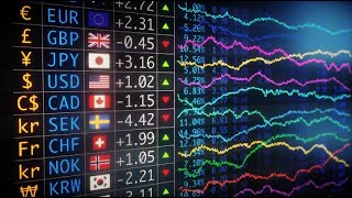 Exchange Rates and Trade [upl. by Waldman]