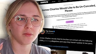 James Charles is INNOCENT and should be UNCANCELLED [upl. by Hound]