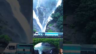 Dudh sagar waterfall Goa 🏞️🥰shorts travel goa shortvideos viralvideo train video viralreels [upl. by Adriana730]