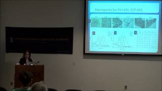 Gold Nanoparticles In On and Around Cells [upl. by Paulie]